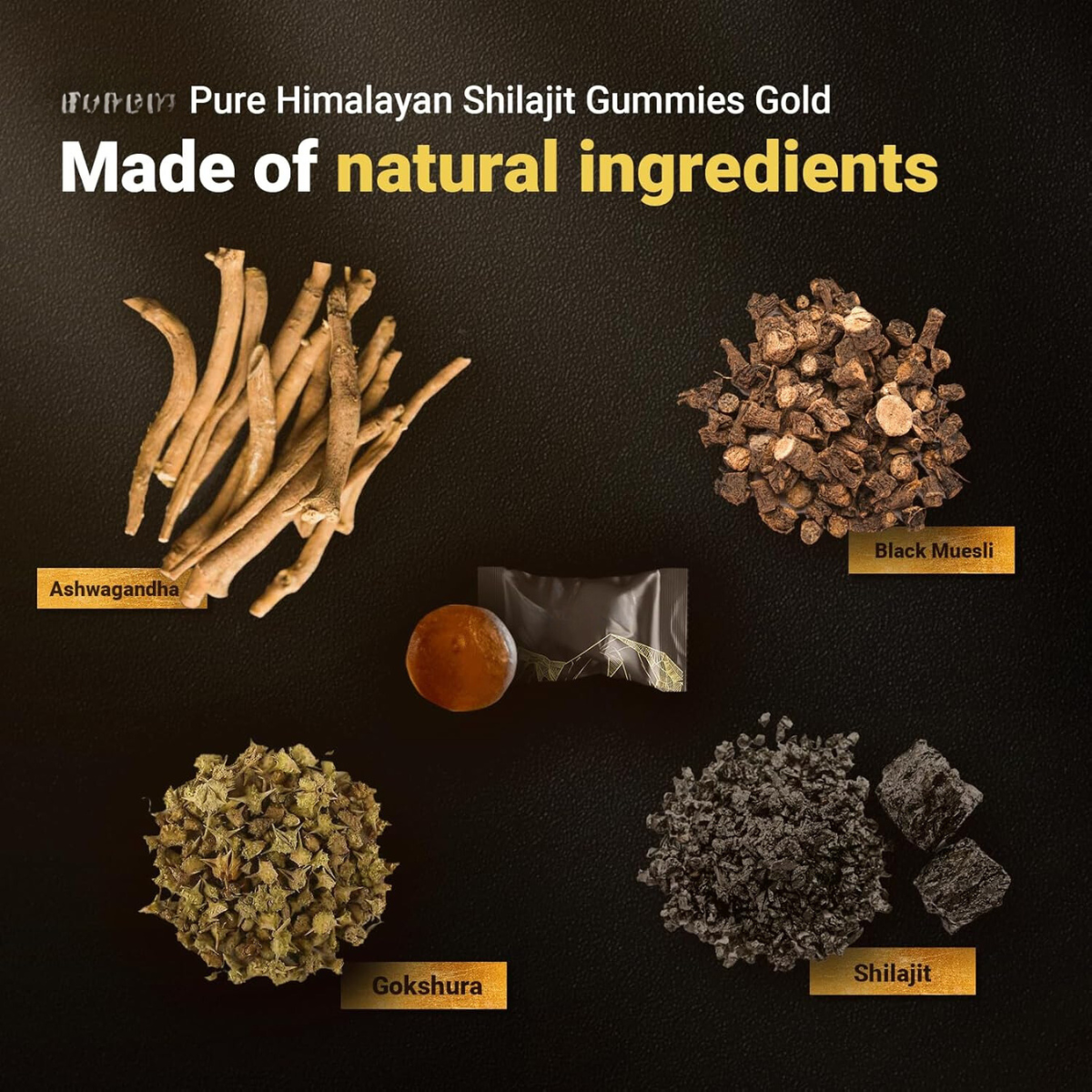 Himalayan Shilajit