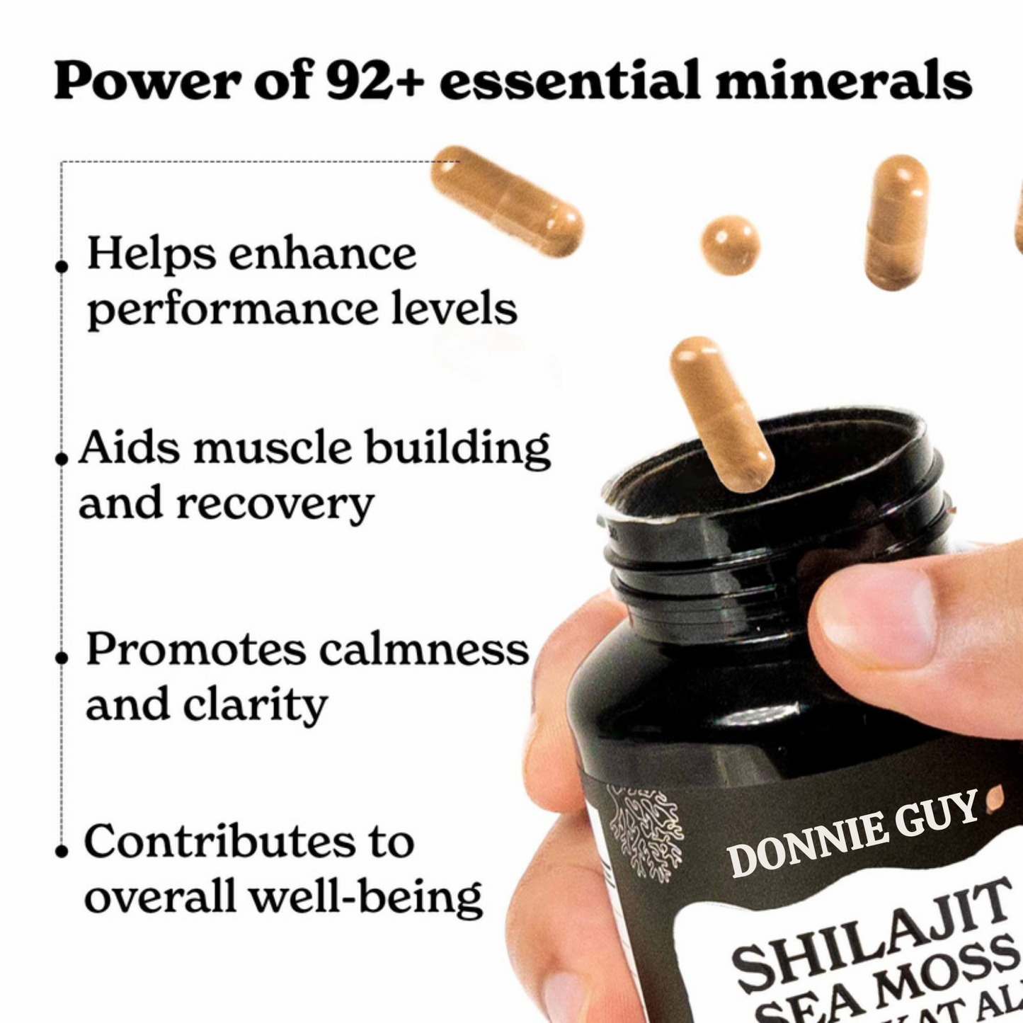 Shilajit Sea Moss