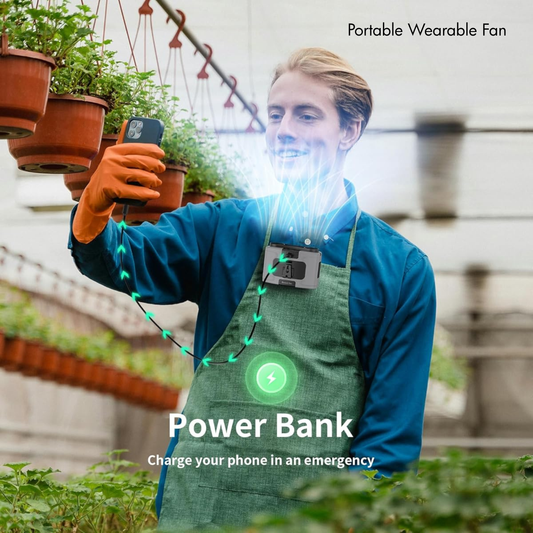 Portable Wearable Fan